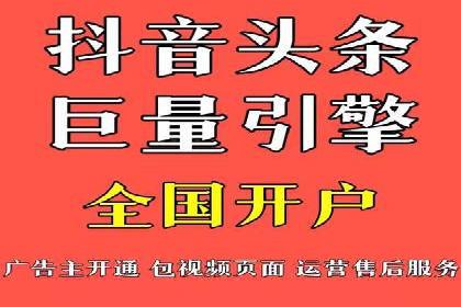 竞价托管服务案例解析
